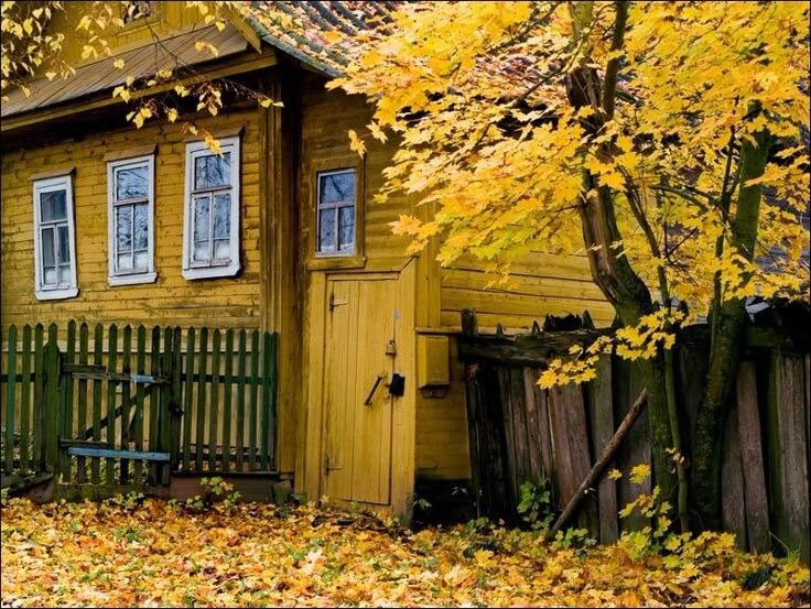 https://ru.pinterest.com/pin/440156563594234035/