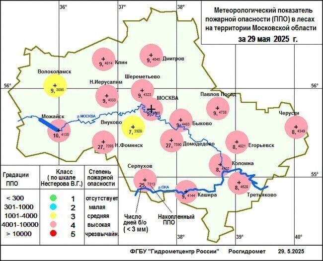  В столичном регионе выросла пожарная опасность. Фото: Телеграм-канал Михаила Леуса