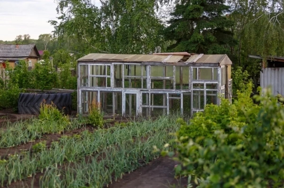    Новосибирских дачников могут оштрафовать на 50 тысяч за нескошенную траву