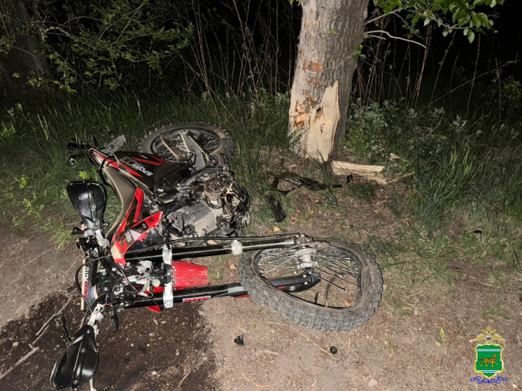     В Биробиджане подросток врезался на мотоцикле в дерево ФОТО: УМВД России по ЕАО