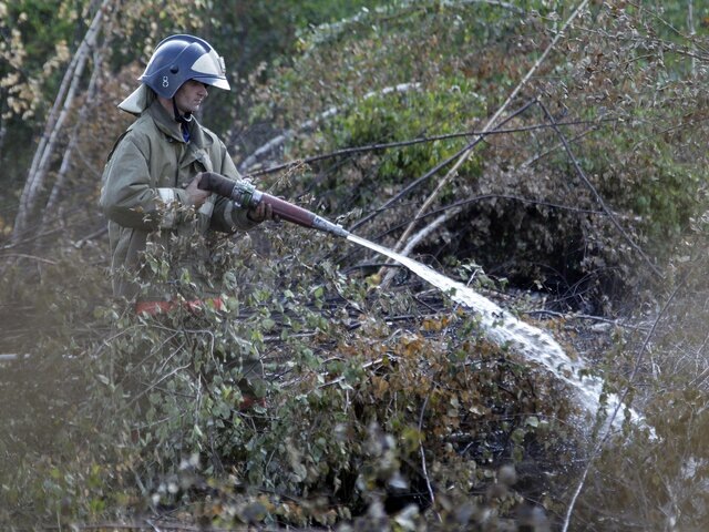    Фото: РИА Новости/Руслан Кривобок