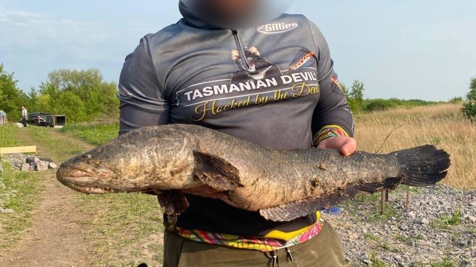     Источник: Улов 25