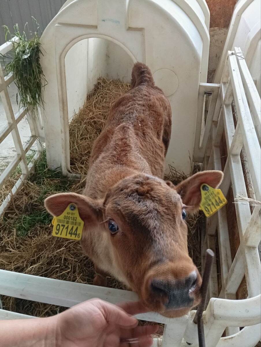 Этого малыша назвали Султаном.