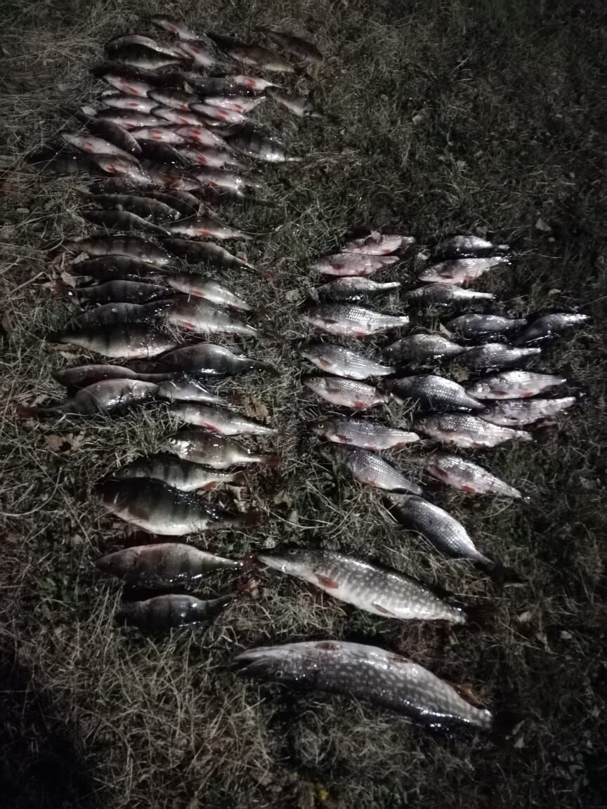    Фото: Пресс-служба Минприроды Забайкалья   📷   Фото: Пресс-служба Минприроды Забайкалья   📷   Фото: Пресс-служба Минприроды Забайкалья