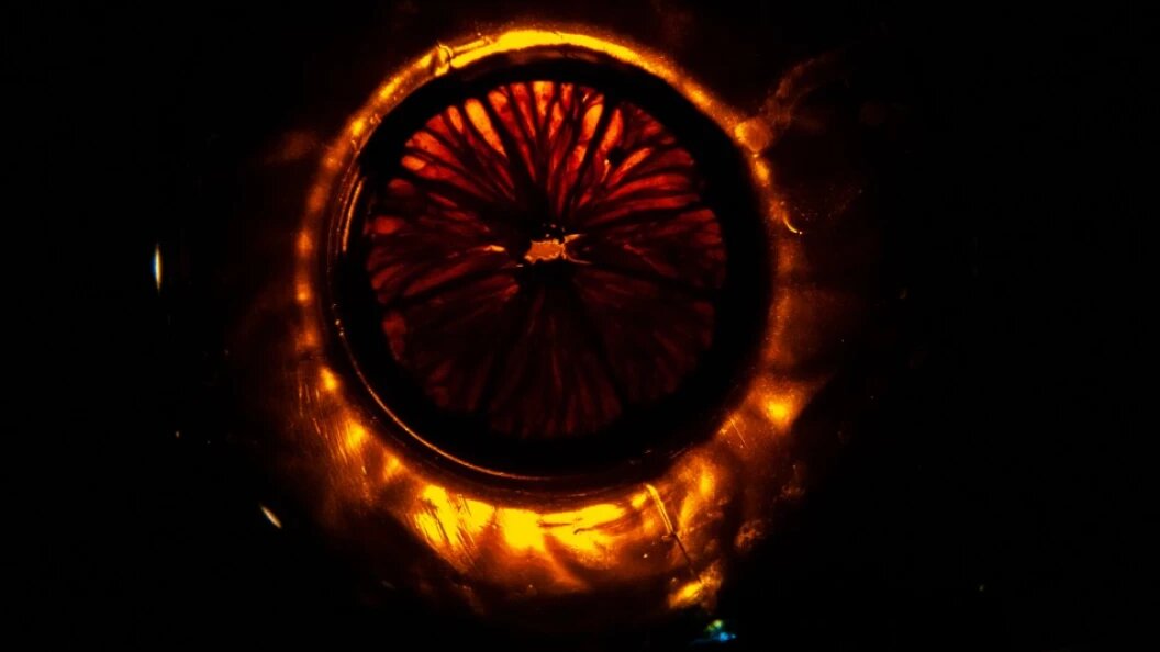    Svetlana Vozmilova/Globallookpress