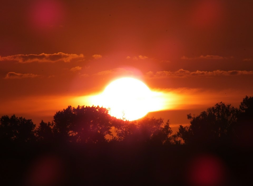    Фото: Victor Lisitsyn/Globallookpress