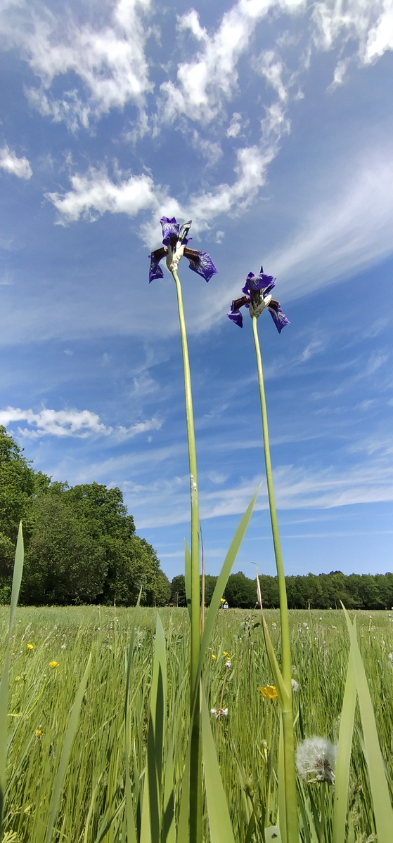 Личное фото