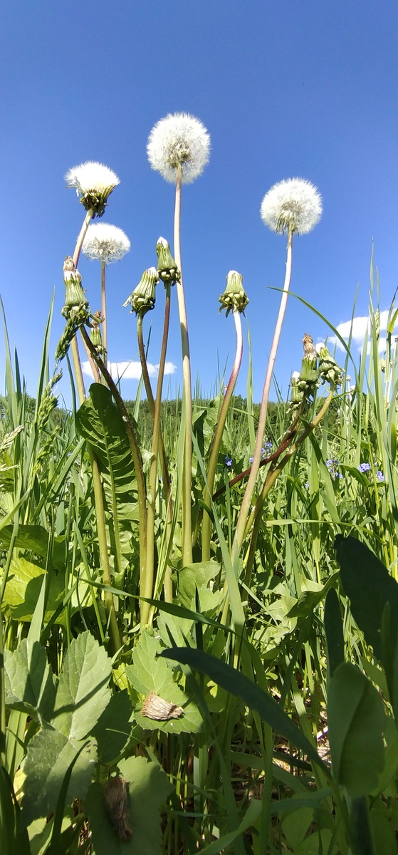 Личное фото