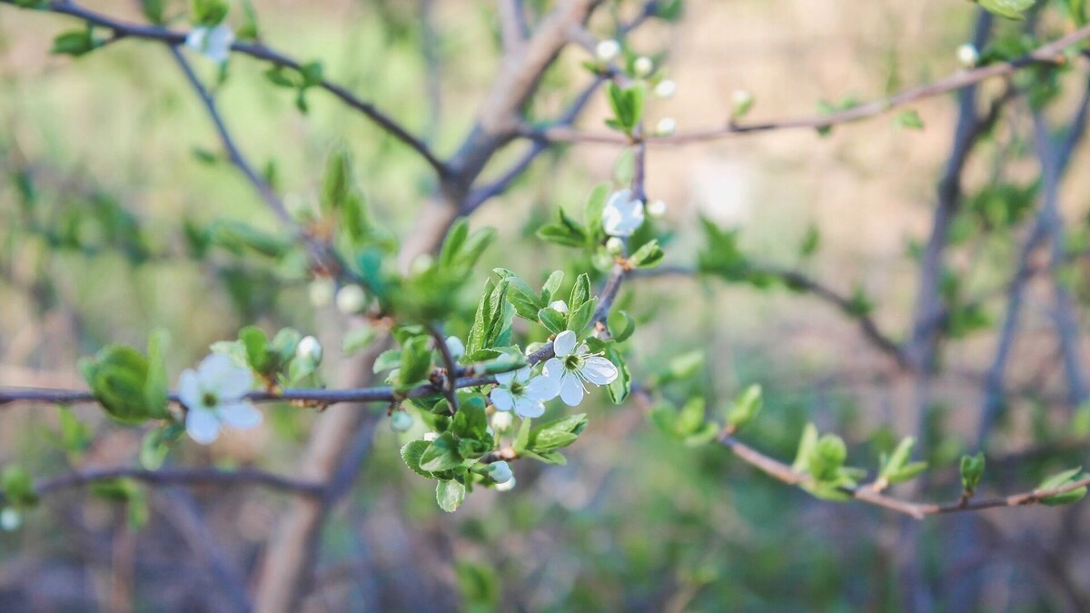     Автор: Яна Бешевая Источник: 1MI