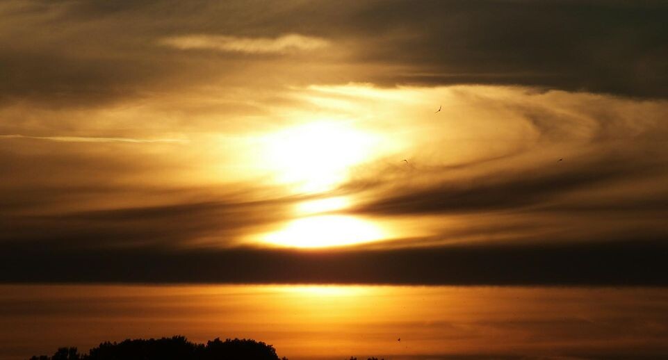    Victor Lisitsyn, Виктор Л/Global Look Press / www.globallookpress.com