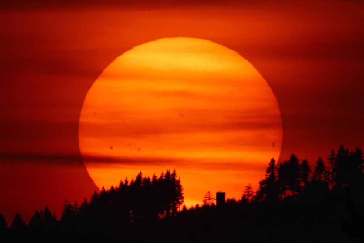     / Источник: © IMAGO/Florian Gaul/Global Look Press