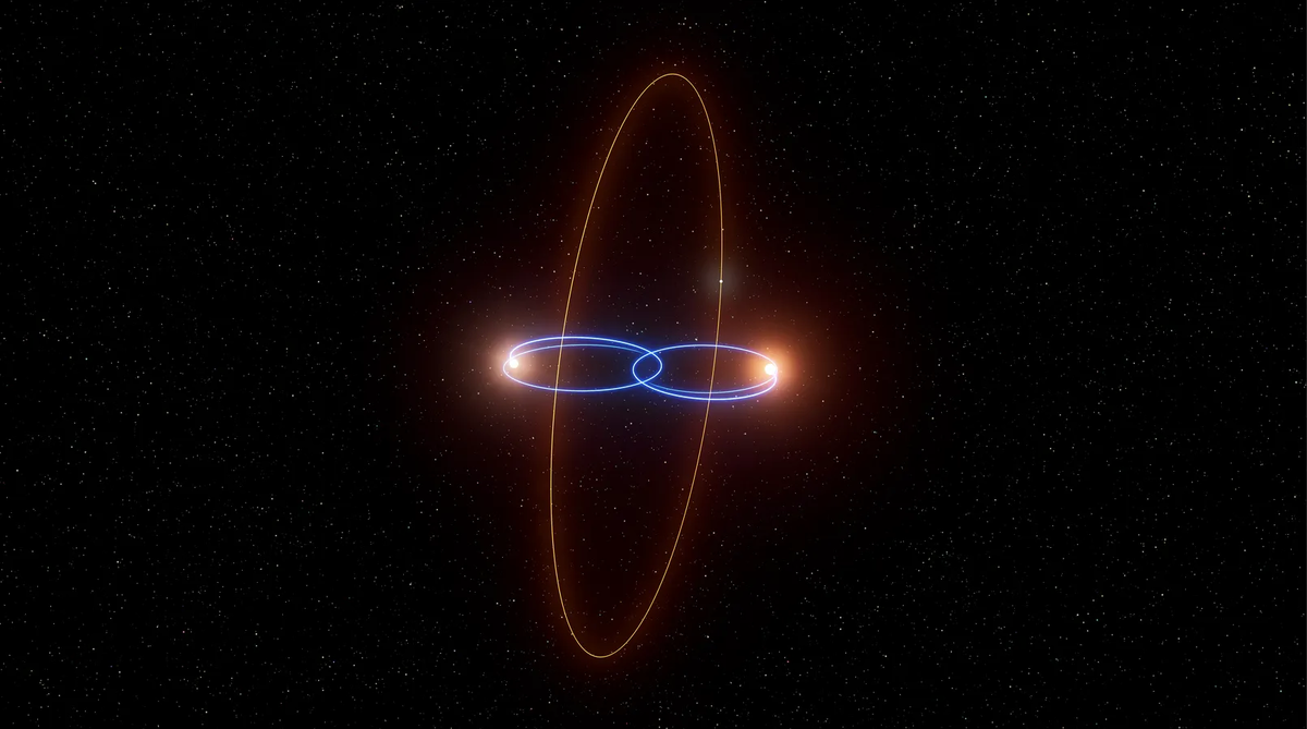 Художественная иллюстрация планеты, обращающейся вокруг двух коричневых карликов. Планета движется по полярной орбите (красным), перпендикулярной общей орбите двух коричневых карликов (синим). Источник: NASA