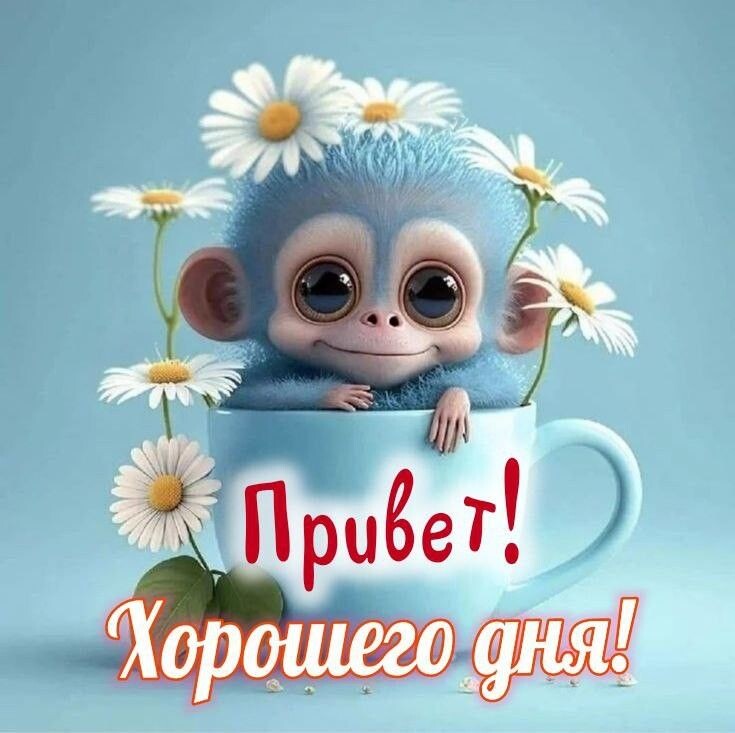 Фото из открытого источника в интернете.