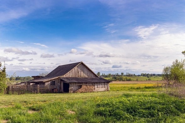    Фото: Olga Kopyova / Shutterstock / FOTODOM admin