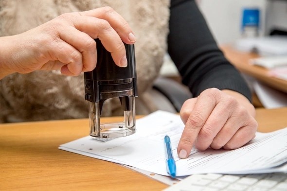    Фото: vitec / Shutterstock / FOTODOM admin