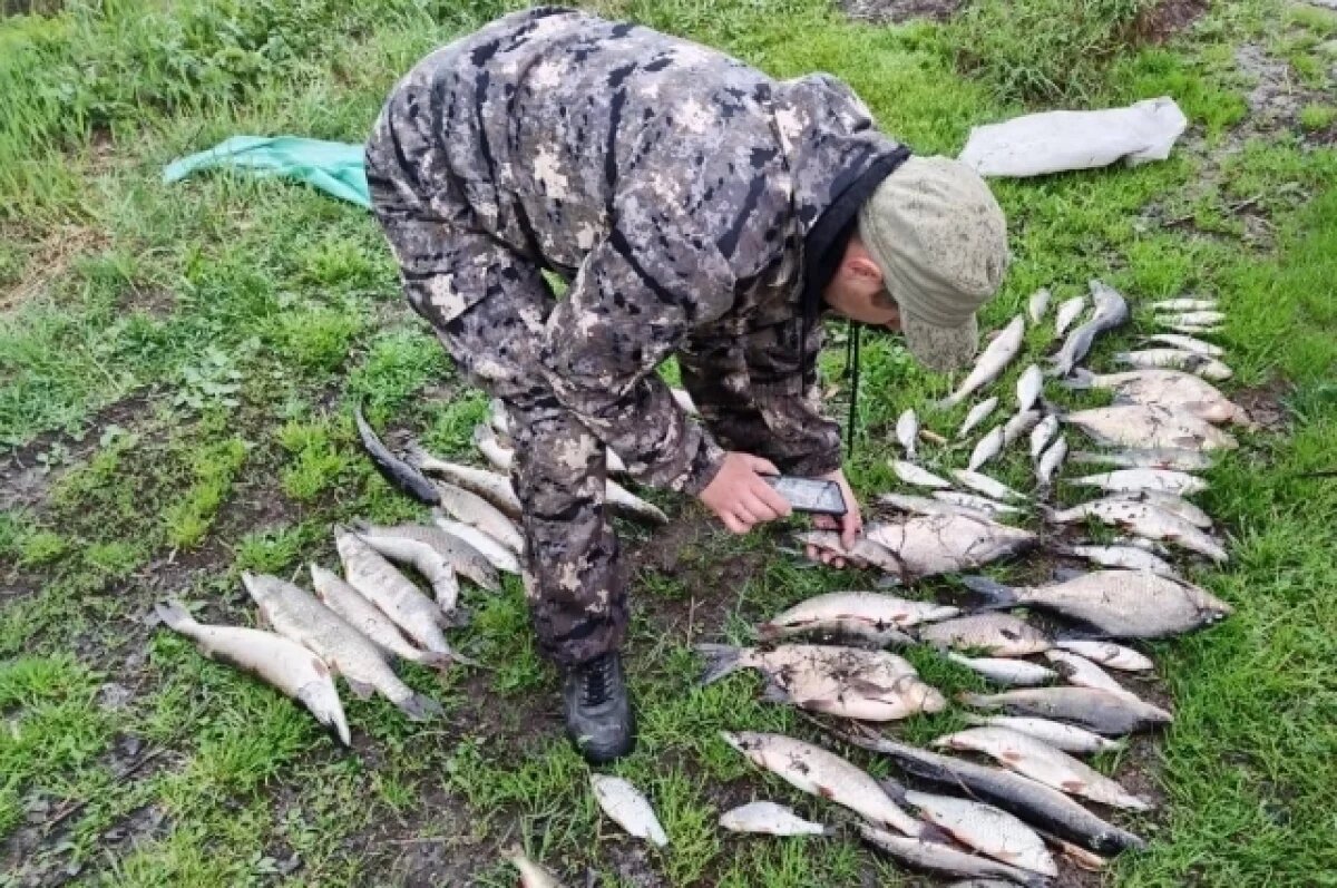    В Красноярском крае рыбный браконьер «попался в сети» полицейских