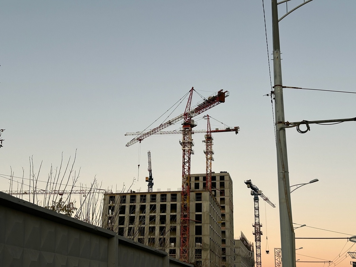    Фото: Анастасия Максименко