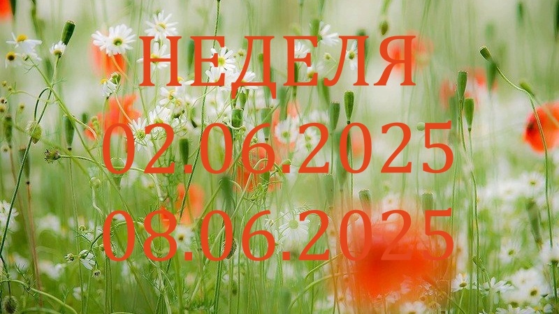 Летний пейзаж. Фото stihi.ru