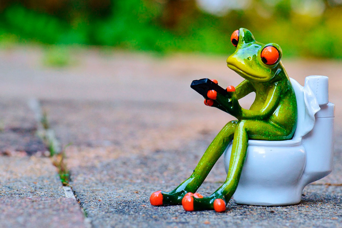    Фото: Alexas_Fotos / Pixabay.com