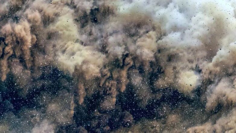    Фото: Hussain Warraich/Shutterstock/Fotodom