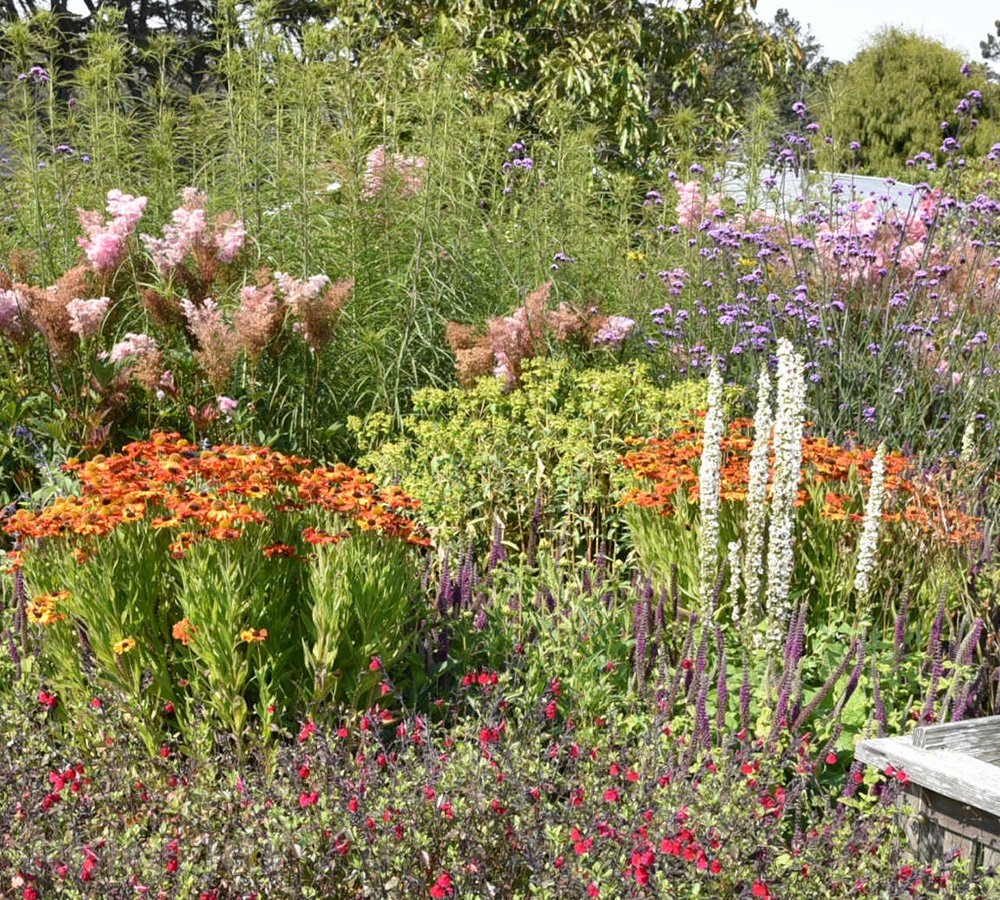   Фото flowerpatchfarmhouse.com