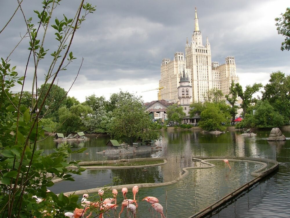 Фото: Яндекс карты. Автор: kudago.com