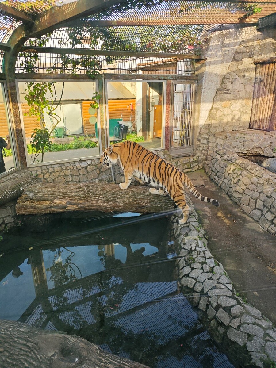 Фото: Яндекс карты. Автор: Яндекс