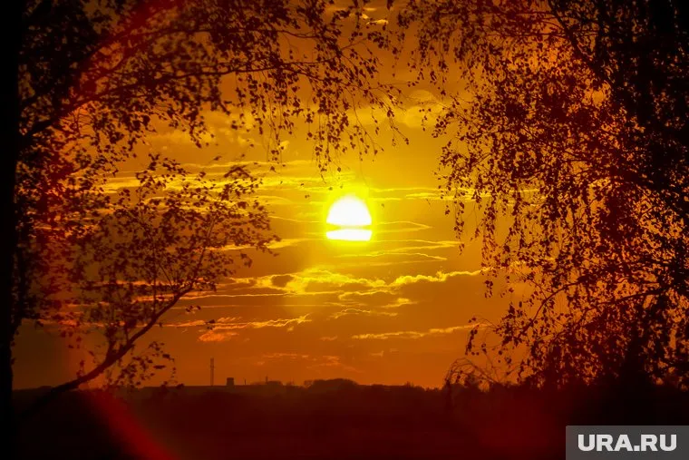 Температура воздуха будет достигать 30 градусов тепла в тени
Фото: Денис Моргунов © URA.RU