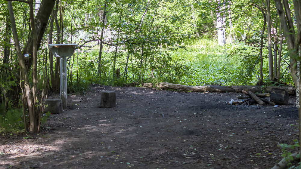 2. Полянка "для пикника" © NickFW.ru — 29.05.2025г.