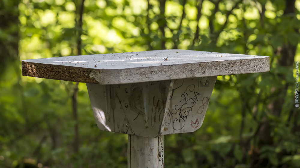 1. Столик в лесу © NickFW.ru — 29.05.2025г.