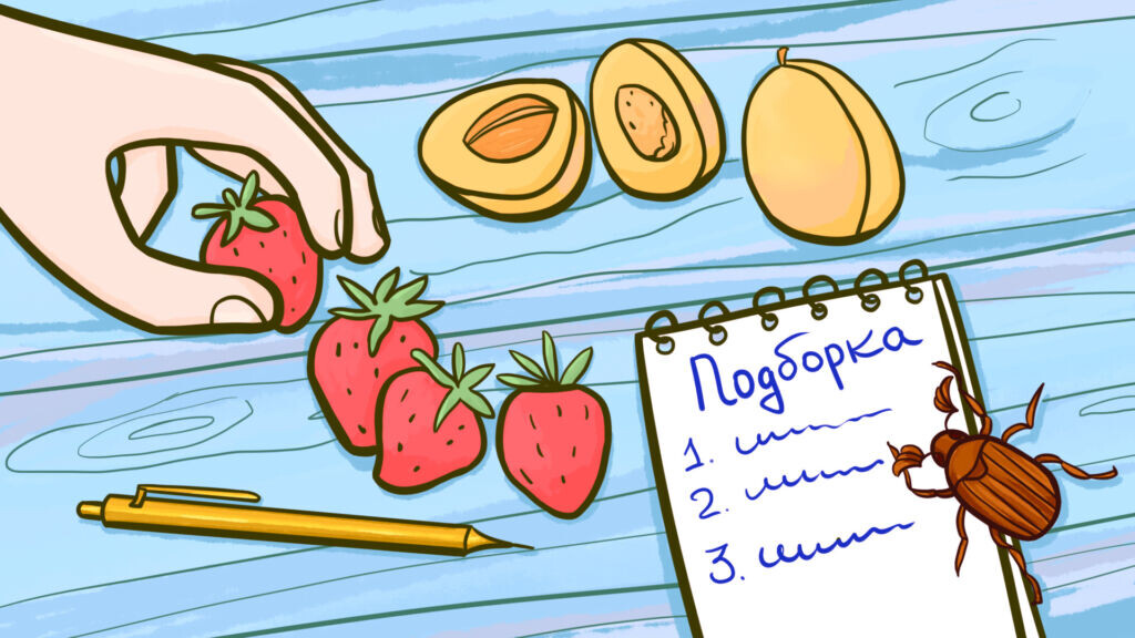 Иллюстрация Екатерины Урусовой  📷
