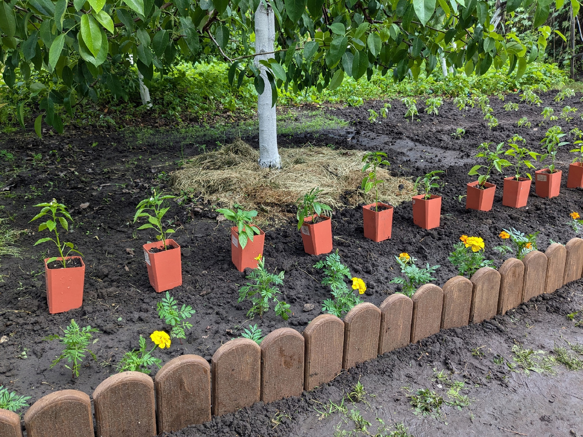 Примерка перед посадкой