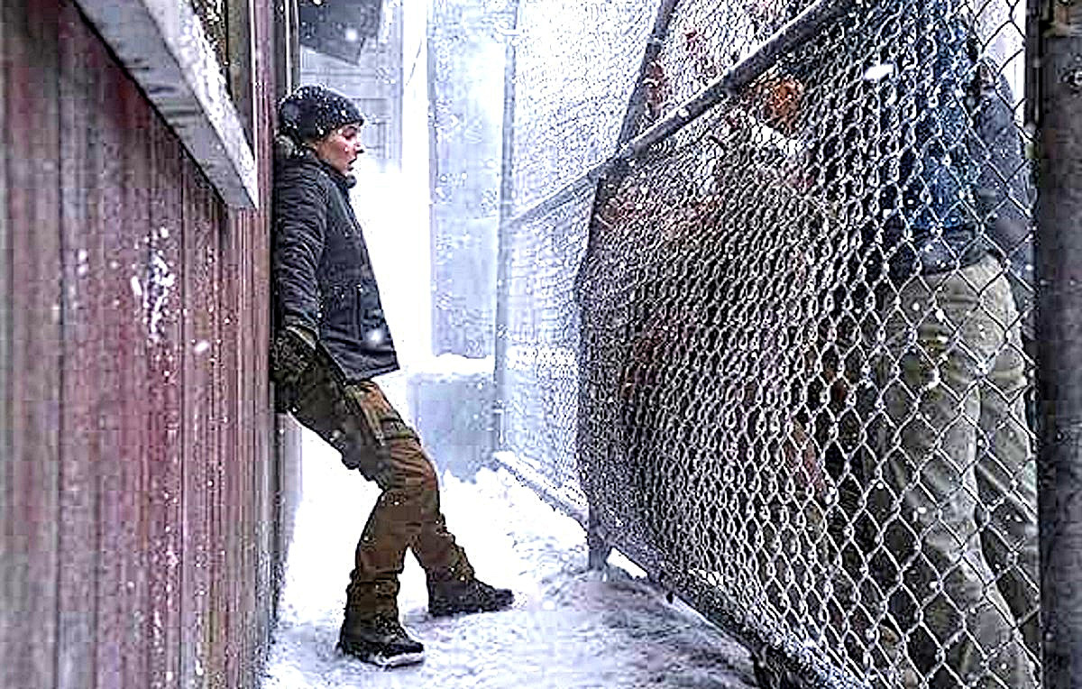 - Граждане, спокойно! "Красное & Белое" скоро откроется! Просто фура ещё не разгрузилась...