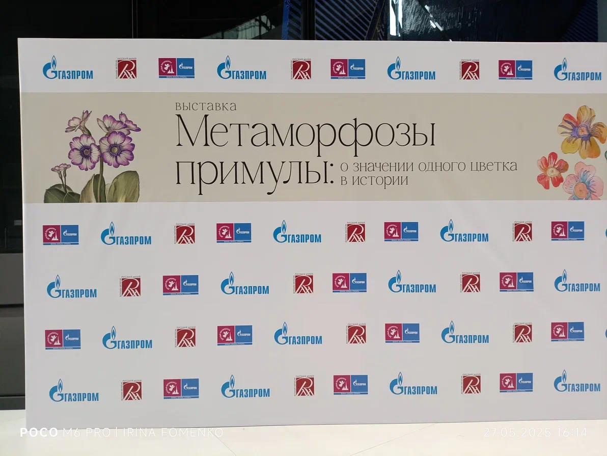 Атриум Лахта-центра. Фото автора