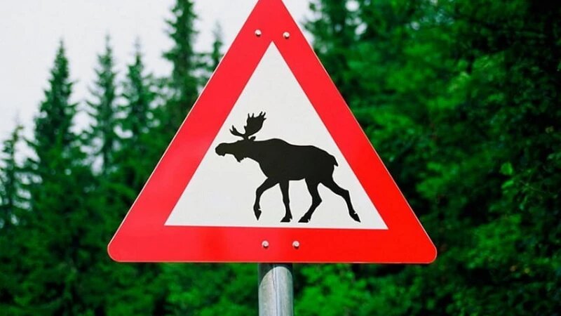     Знак "Дикие животные" Министерство природных ресурсов и экологии Алтайского края