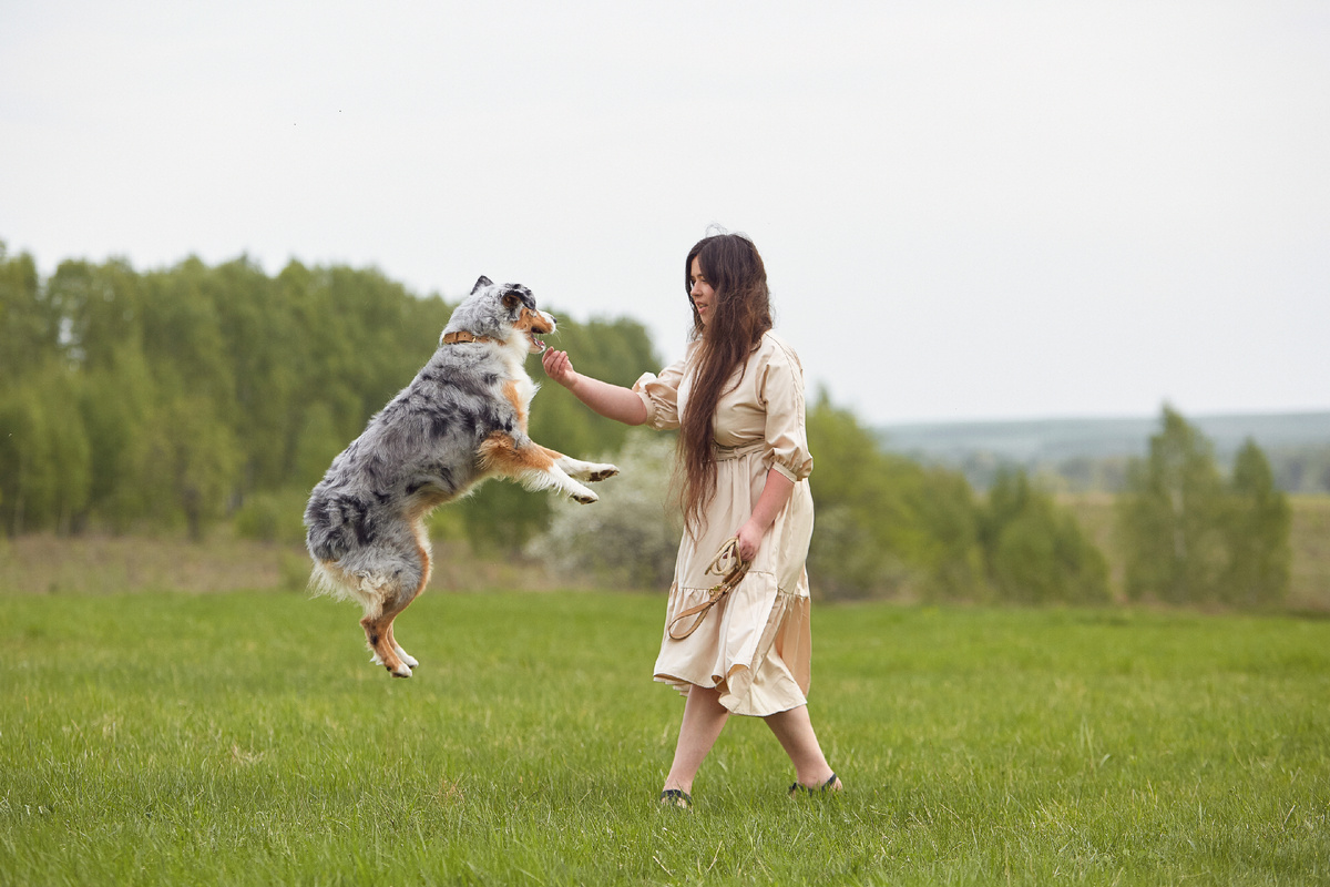 Летающая Тефтелина