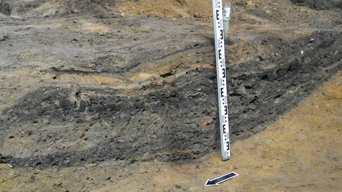    Фото: Пресс-служба Департамента культурного наследия города Москвы