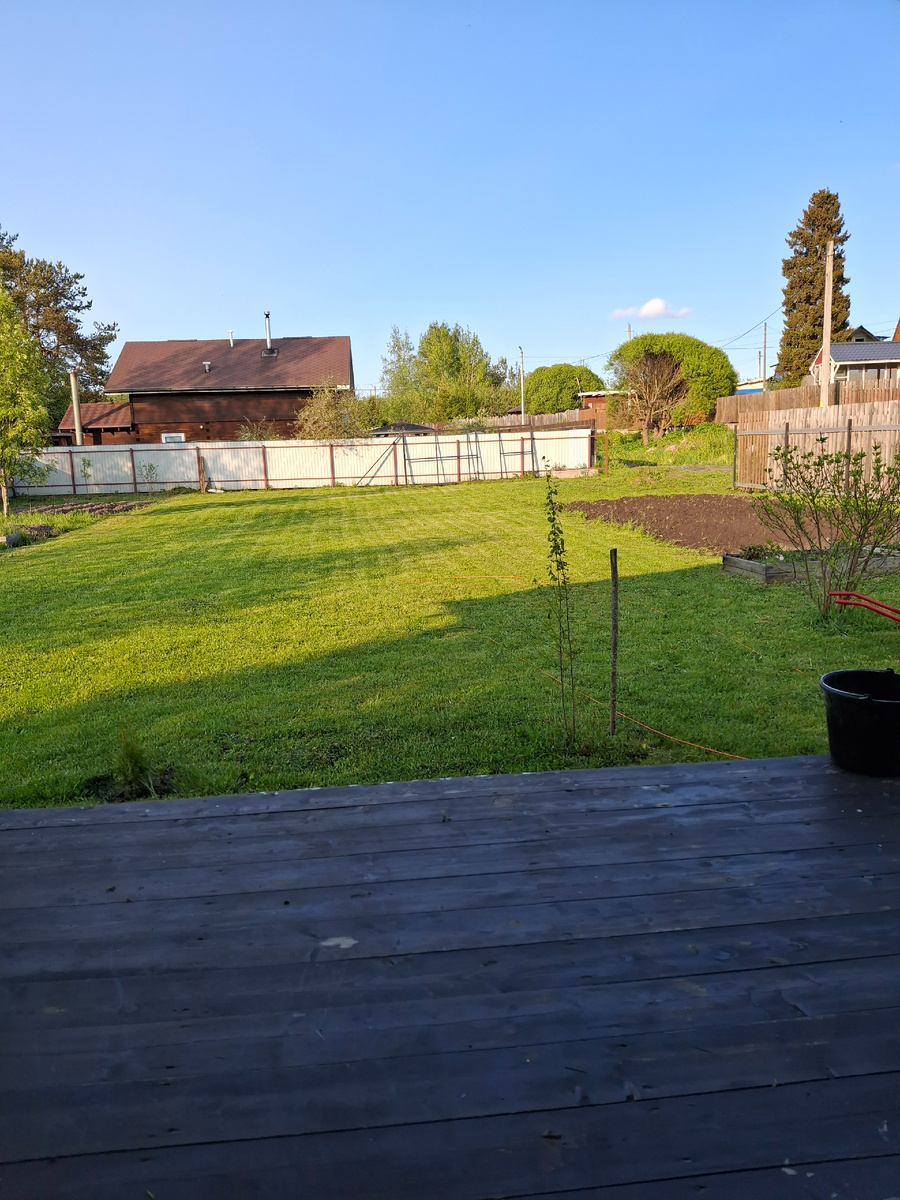 Фото автора. Уже подстригли свою поляну.