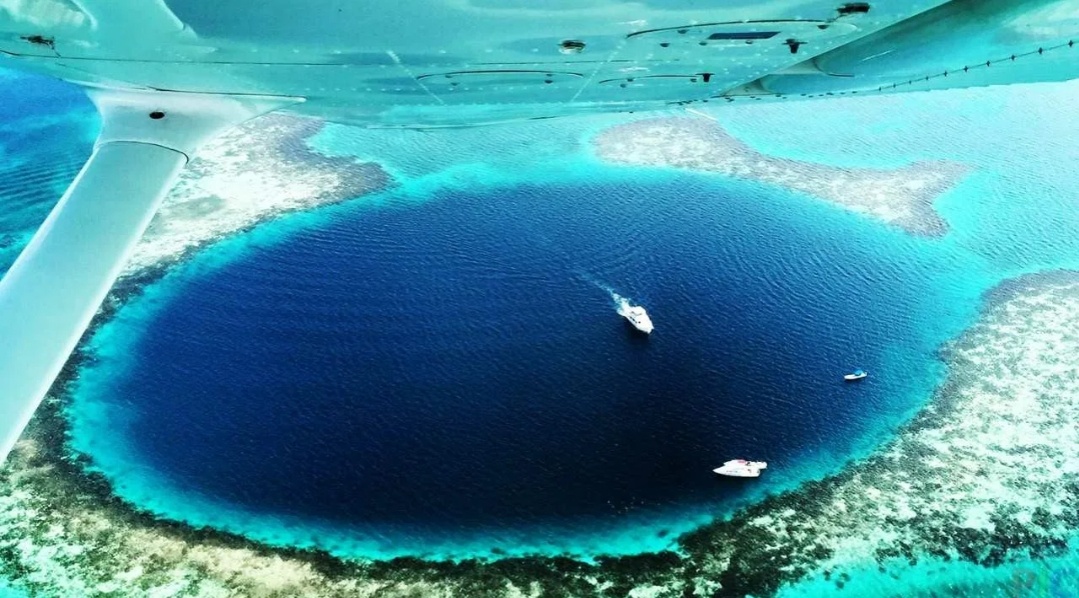 Первое погружение человека на дно Марианской впадины совершили 23 января 1960 года лейтенант ВМС США Дон Уолш и исследователь Жак Пикар в батискафе «Триест». Они достигли глубины 10 912 метров и обнаружили на дне плоских рыб, похожих на камбалу 