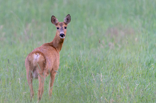    Фото: freepik.com / wirestock