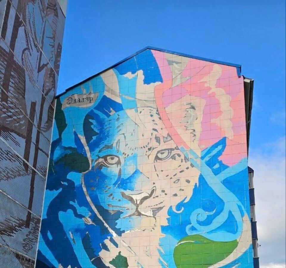    Новый мурал в Горно-Алтайске. Источник: "Алтай 04"