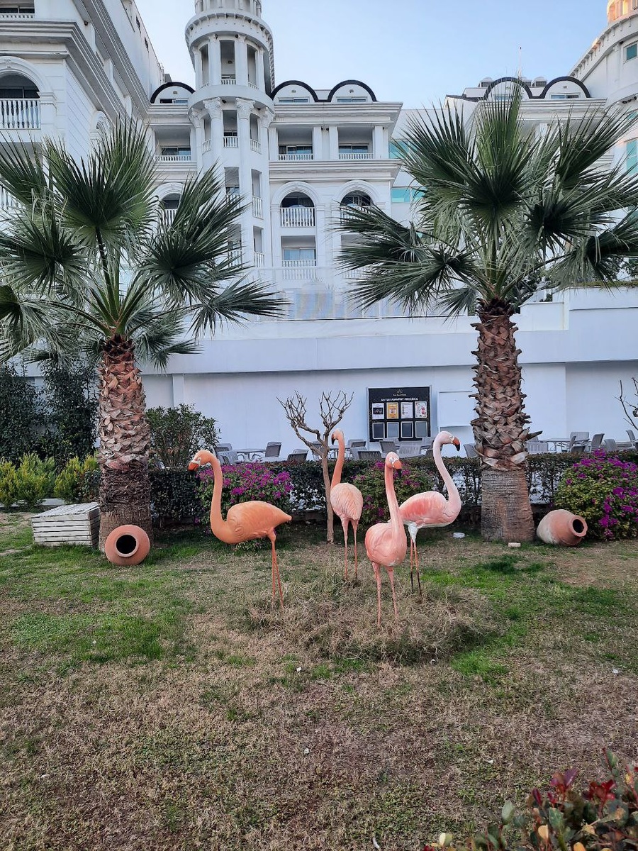 Отели в Сиде. Турция. Фото из личного архива 