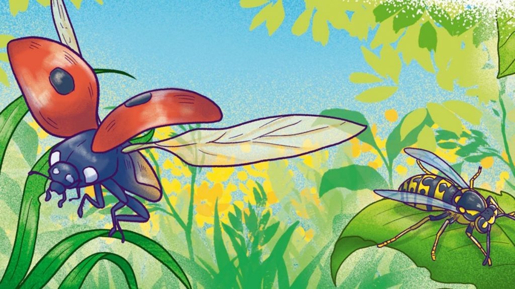     Удивительные факты о насекомых и пауках. Отрывок из новинки «Насекомые и пауки» Екатерина Ушахина