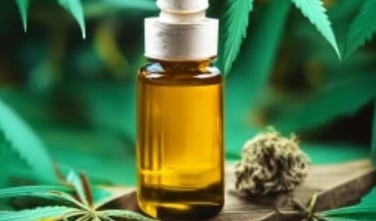    Конопля при селекции на масличность может конкурировать с соей и рапсом