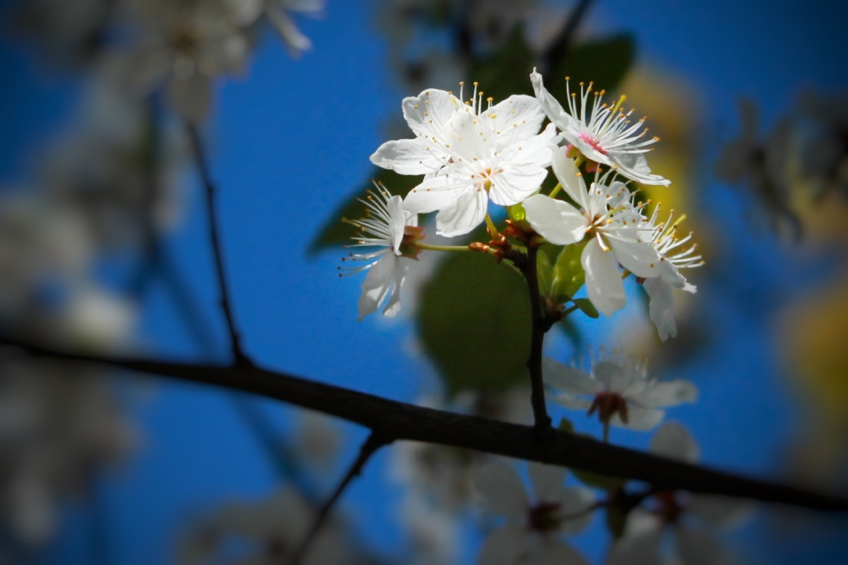 Фото: Елена Спиридонова