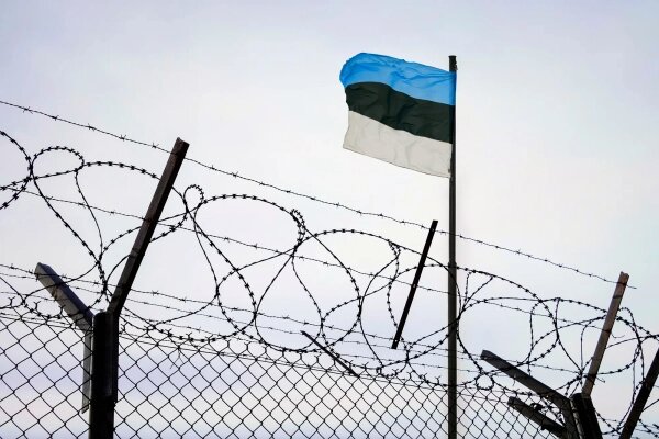 За чипсами и сладостями: Эстонцы массово едут в Россию, чтобы закупиться вещами и техникой