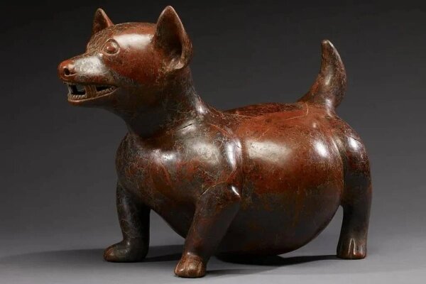 Предков чихуахуа разводили индейцы Центральной Америки. Фото © Wikipedia / Walter Art Museum