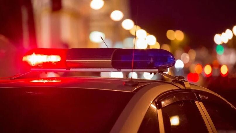    Фото: ArtOlympic/Shutterstock/Fotodom