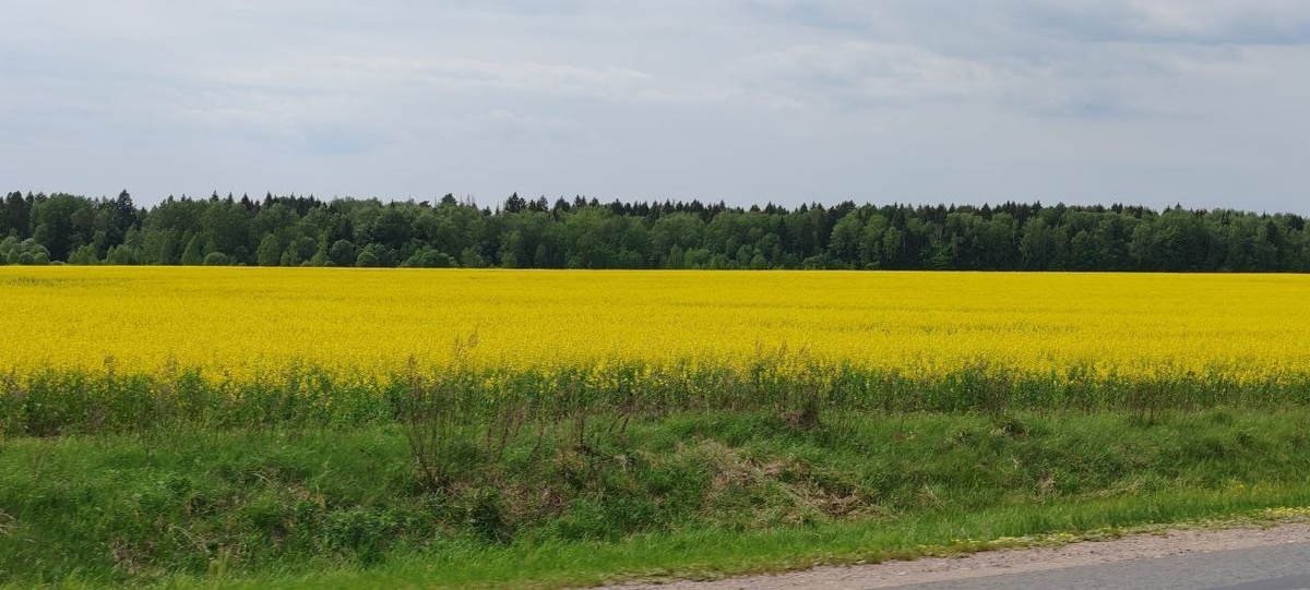 На него дал наводку один мой подписчик