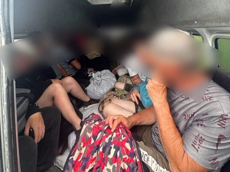     ФОТО: T.ME/GIBDD123REGION